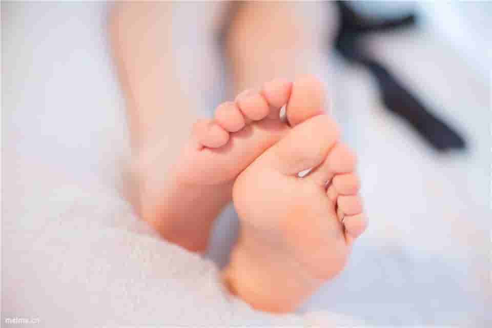 森萝财团 X_VOL.008 [118P1V][1.9G]高清原图打包下载